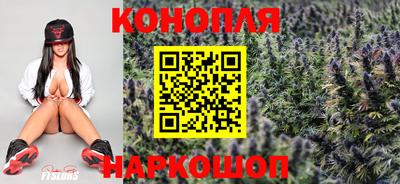 мяу мяу мука Канаш
