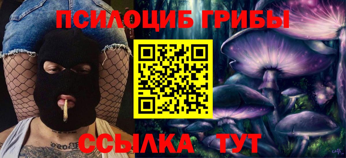 Кумертау  Галлюциногенные грибы Magic Shrooms  Вход с VPN 