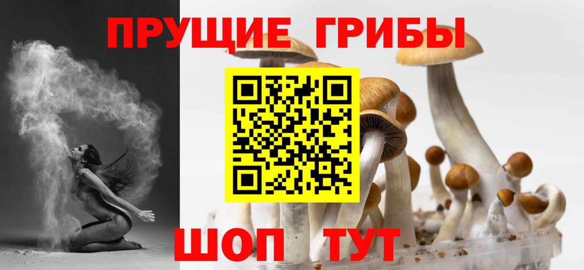 Псилоцибиновые грибы ЛСД Кумертау